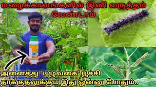 RAINY SEASON PESTICIDE  புழுக்களை புரட்டி எடுக்கும் ஒரு ஆர்கானிக் பூச்சிவிரட்டி  BAVERIA BASSIANA [upl. by Gardner]