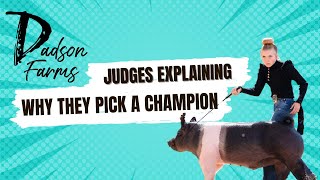 What the Judges say at a livestock show Karis and Smack Down in Hog showmanship showpigs pigs [upl. by Gelb257]