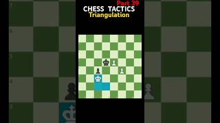 Triangulation  Chess Tactics Series chess [upl. by Mozza]