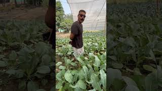 Be smart Do natural farming [upl. by Cassi986]