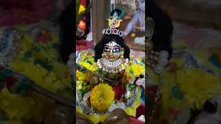 Joy radhe radheradhe song 🙏 [upl. by Darwin]