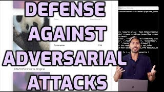 Defense Against Adversarial Attacks [upl. by Millur]