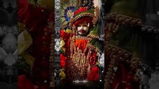 Khatu shyam baba 🌹🙏🏻 newshorts lovekhatushyamkaladlakhatushyamkaladlashyamkaladlajaishreeshyam [upl. by Aerbua]