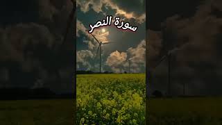 Surah AnNasr Full Urdu translation quranforpeace quranrecitation shorts [upl. by Enak261]