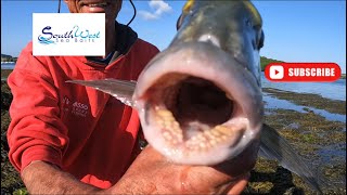 Sea Fishing UK  Gilthead Bream fishing how to  with special guest Martin “Larks” Larking [upl. by Kleon]