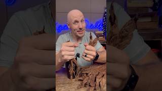 How cigars get flavor transitions cigarsdaily cigars [upl. by Oramlub]