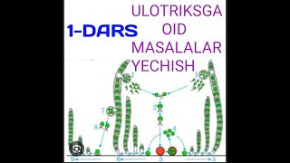 ULOTRIKSGA OID MASALALAR YECHISH 1DARS [upl. by Yrrol]