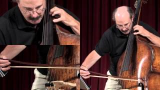 Mahler Symphony 1 double bass solo [upl. by Aronos]