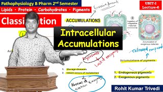 Intracellular Accumulation  Pathophysiology  B Pharm 2nd Semester [upl. by Petunia]