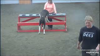 Arena Brekkies Poppins Lynn TracyO highlights end 552024 exploreorg [upl. by Nagiam]