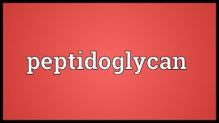 Peptidoglycan Meaning [upl. by Suraved]