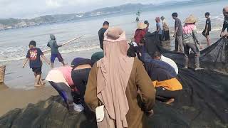 MENARIK JARING IKAN DI PANTAI SINE [upl. by Anirahc]