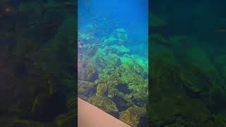 Gran Canaria Clip 4 Clear Water [upl. by Ratha]