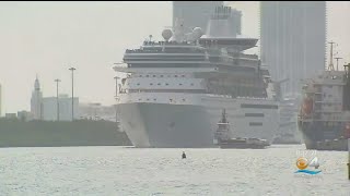 Cruise companies offering best deals during wave season [upl. by Efeek920]