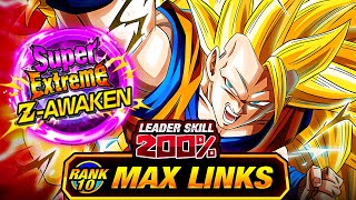 THE FIRST SUPER EZA IN DOKKAN HISTORY LEVEL 10 LINKS 100 AGL SSJ3 GOKU DBZ Dokkan Battle [upl. by Fabiola]