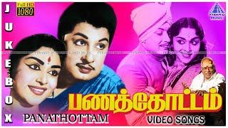 MGR Hit Songs  Panathottam Tamil Movie Full Video Songs  Saroja Devi  Viswanathan–Ramamoorthy [upl. by Gabbi148]