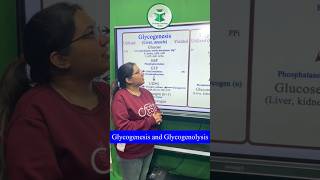 Glycogenesis and glycogenolysis For more details contact on 7814622609 or 8837686765 [upl. by Gloriana439]