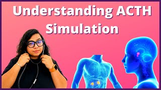 ACTH Stimulation Test Explained  Procedure Results and Risks Explained [upl. by Stover]