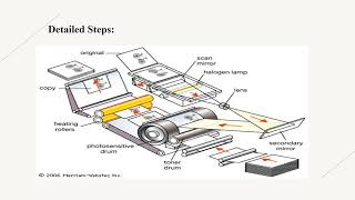 WORKING OF PHOTOCOPIER [upl. by Ainslie]