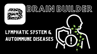 Lymphatic System and Autoimmune Diseases  Real 3D Anatomy  BodyViz Brain Builder [upl. by Shenan]