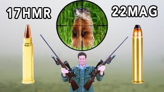 17HMR vs 22MAG Hunting [upl. by Kiryt262]