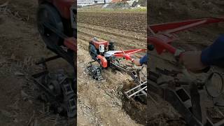 removal and ridge making with one plow stubble removal and ridge making shorts [upl. by Odrareve]