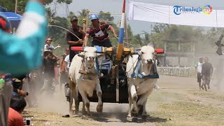 Ratusan Bajingan Adu Kreativitas di Bantul [upl. by Oinotnanauj]