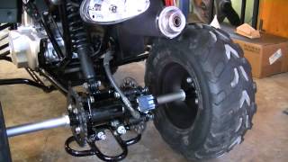 Project Quad TaoTao 110D  Part 16  Chain Time [upl. by Abigale]