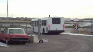 New Flyer Industries 1995 NFI D40LF  Grand Prairie Transit in Calgary [upl. by Wadleigh]