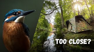 How I Took This Photo  BEHIND THE SCENES of Photographing Kingfishers [upl. by Fishback118]