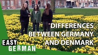 Differences between Germany and Denmark  Easy German 190 [upl. by Notxarb]