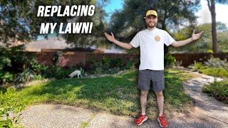 How to Replace Your Lawn with Native Groundcovers Full 1 Year Update [upl. by Enelrak993]