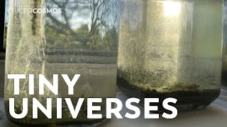 A Collection of Tiny Universes [upl. by Bouley]