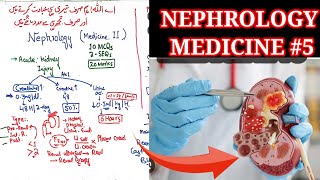 Nephrology medicine lecture 5 🛑glomerulonephritis nephritic syndrome alport disease goodPasture [upl. by Ahsenek]