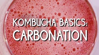 Kombucha Basics Carbonation [upl. by Etnauq]