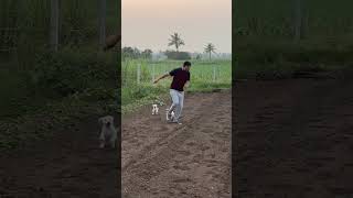 farming agriculture dog happiness 🏡🐄🐶👩‍🌾 [upl. by Zuckerman]