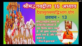 श्रीमद्भगवद्गीता 16 अध्याय N  13  Bhagwat Geeta 16 Adhyay स्वामी श्री मोहनानंद गिरि जी महाराज [upl. by Neersan980]