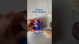 Pelúcia interativa  Cubo Mágico [upl. by Mcevoy]