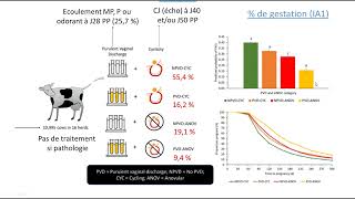 EFFETS DES ENDOMETRITES ET DE LANOESTRUS SUR LES PERFORMANCES DE REPRODUCTION [upl. by Laraine]