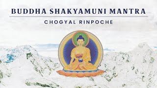 Buddha Shakyamuni — Mantra by Chogyal Rinpoche [upl. by Marta539]