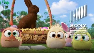 Hatchlings Easter Clip  THE ANGRY BIRDS MOVIE  In Cinemas May 12 [upl. by Brick]