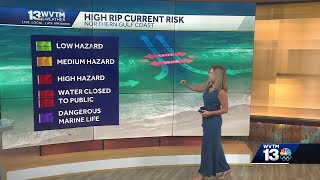 High rip current risk and dangerous surf conditions along the Nothern Gulf Coast this week Check [upl. by Ahseal]