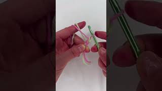 Easy Crochet Cord Tutorial for Beginners  StepbyStep Guide crochet crochetcordon [upl. by Mauro]