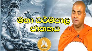 මහා ධර්මපාල ජාතකයkoralayagamasaranathissa thero bana 2024darmadeshana [upl. by Catrina]