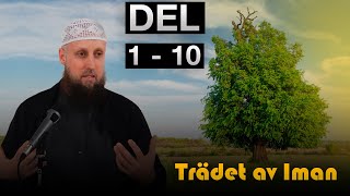 Abdul Wadood Frank  Trädet av Iman  DEL 110 [upl. by Eatnad]