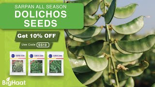 All Season Dolichos Seeds  BigHaat [upl. by Kiersten]