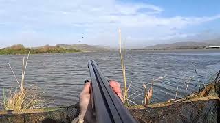 Storm Flight on Wigeon  Kayak was needed  Wildfowling [upl. by Nauq846]