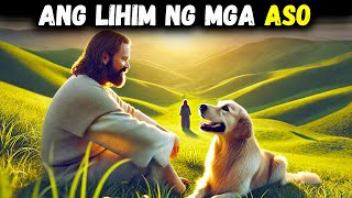 Ang ASO ba ay Isang Espirituwal na Nilalang Tuklasin ang Kagulatgulat na Katotohanan sa Biblia [upl. by Kincaid]