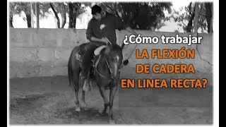 Arrendando Caballos  V17 ¿Cómo trabajr la Flexión Enanca en línea recta sin Barda [upl. by Lytsirk778]