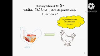 What is Dietary Fibre  Application of fibre degrading enzymes NSPase enzyme  its Role in Poultry [upl. by Alamac]